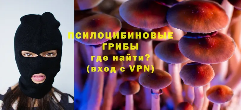 Псилоцибиновые грибы Psilocybe  купить наркоту  MEGA как войти  Макарьев 